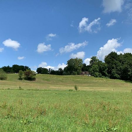 Zimmer Mit Bergblick Starnberg Buitenkant foto