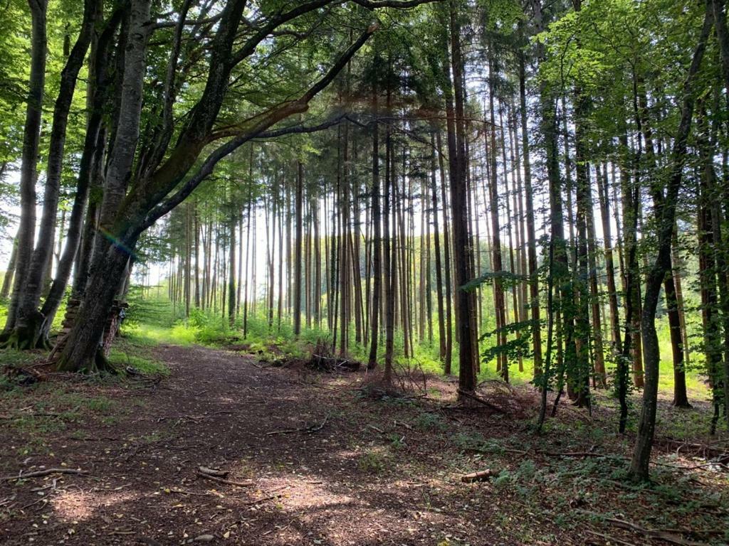 Zimmer Mit Bergblick Starnberg Buitenkant foto